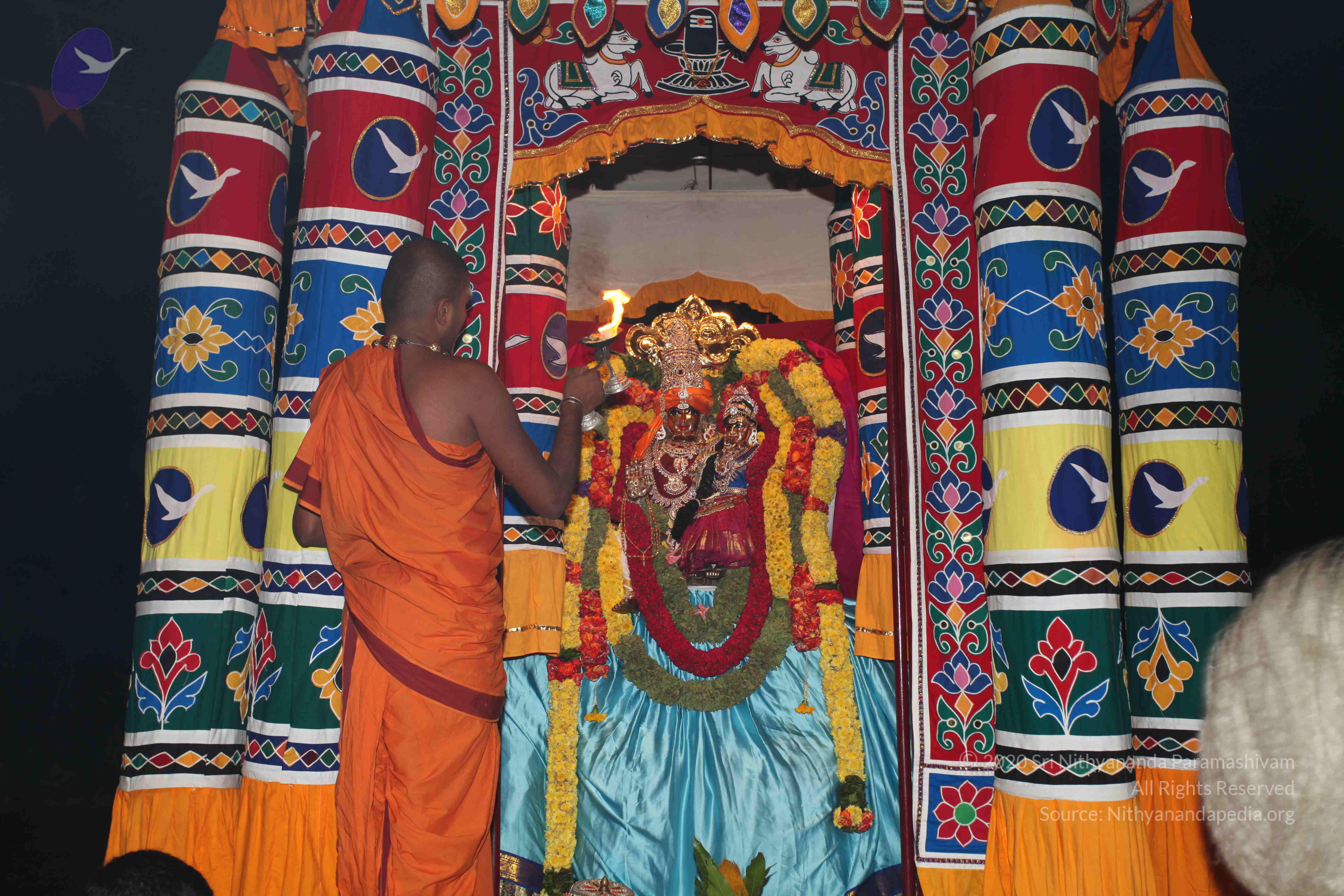 20101119_Photo_1097_IMG_8753 - Copy_CMP_WM